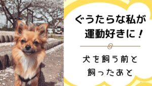 ぐうたらな私が犬を飼ったら運動が好きになった！